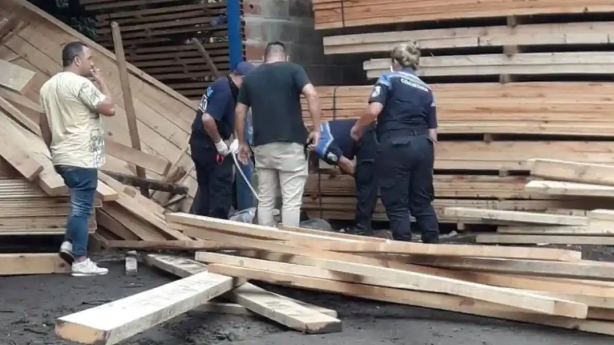 Hallan descuartizado a un empleado de una maderera en Sarandí