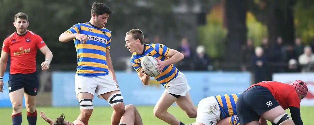 Hindú y Newman, clasificados