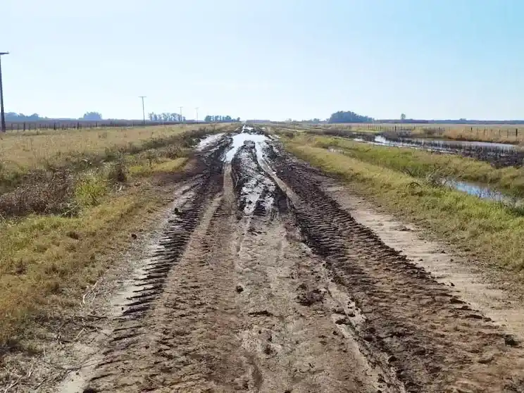 Caminos rurales al límite: el deterioro golpea la competitividad del campo argentino
