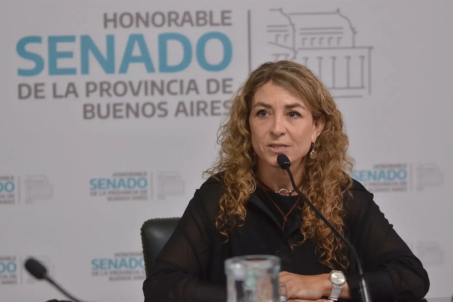 La presidenta de la comisión, Natalia Quintana (Hechos-UCR Identidad).