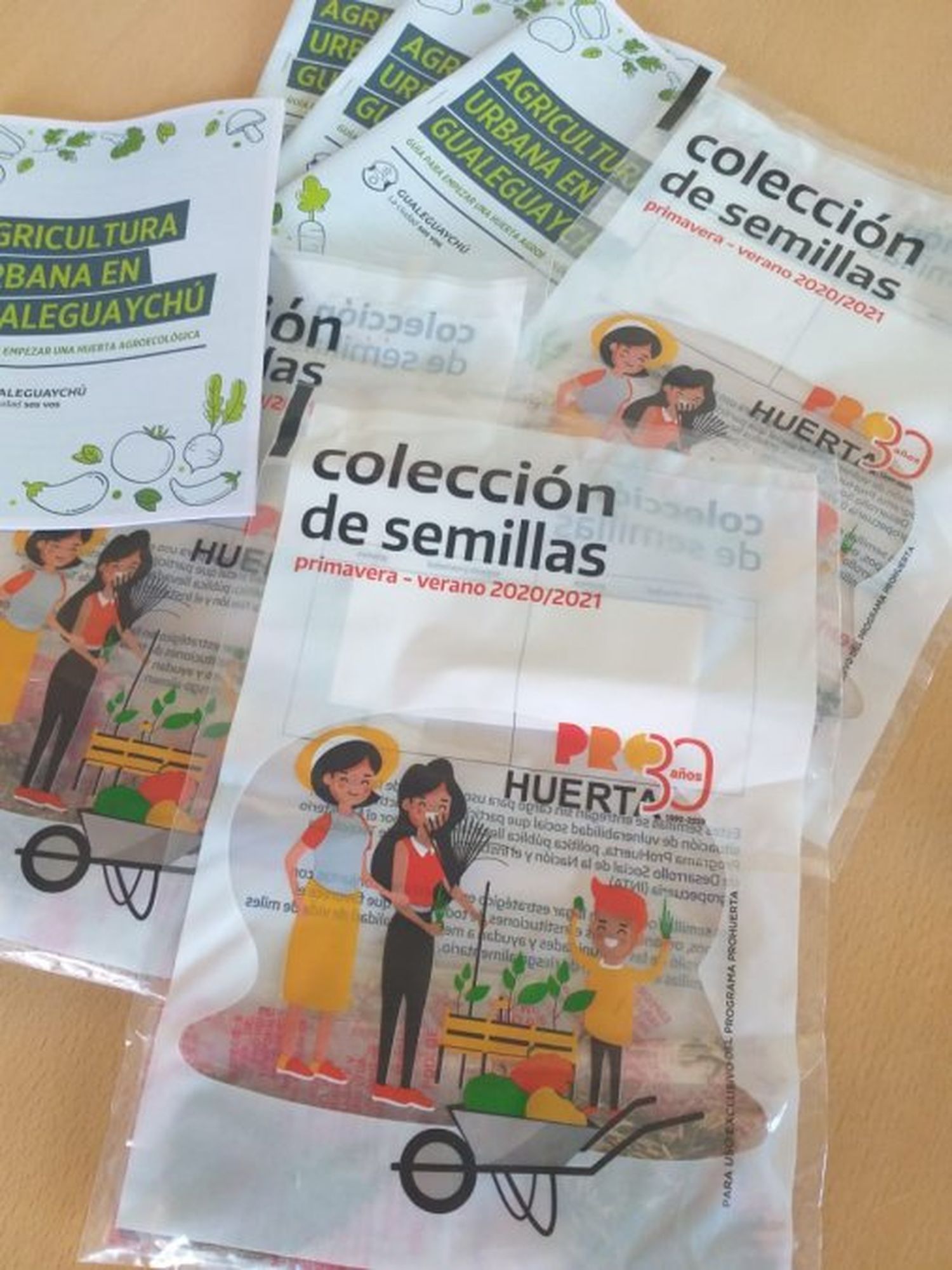 Los kits de semillas que el INTA reparte entre los huerteros 