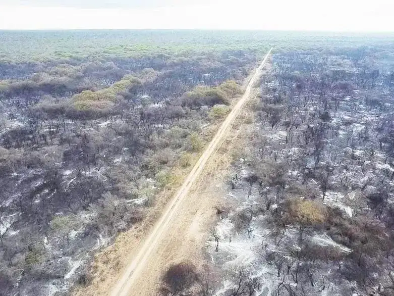 Incendios en el Oeste: Nacif destacó el apoyo 
del Gobierno y la solidaridad del pueblo