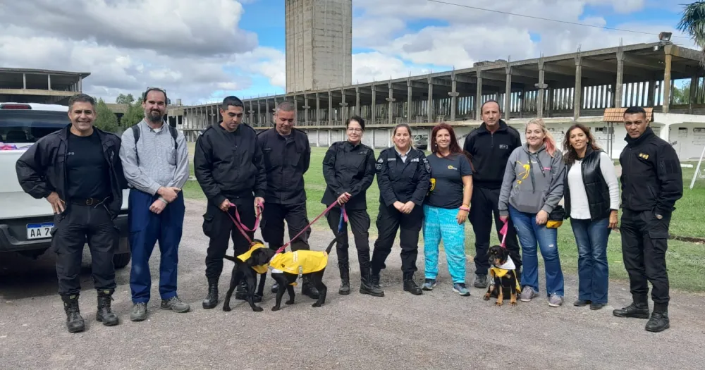 En Sierra Chica, internos de una unidad penitenciaria entrenan perros para asistencia