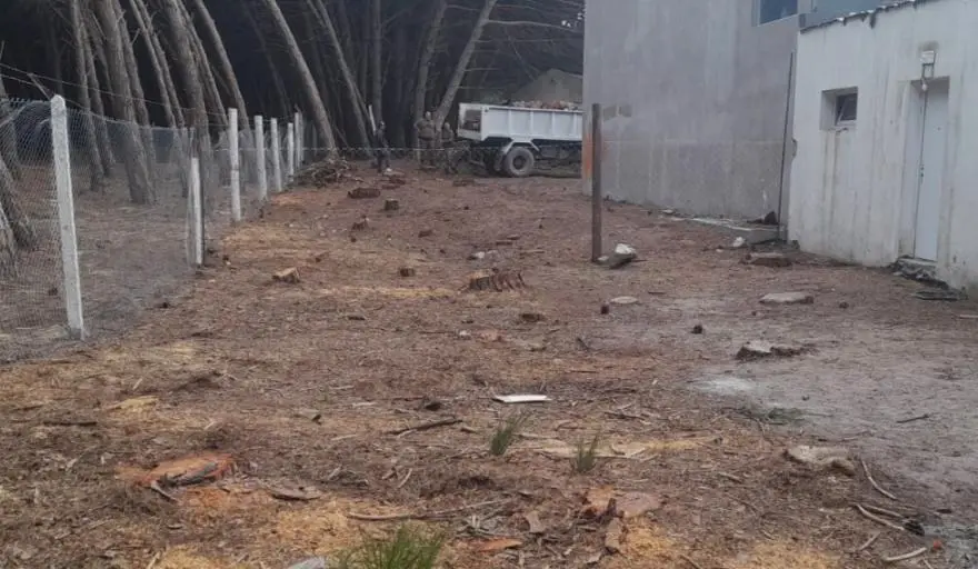 El club será sancionado