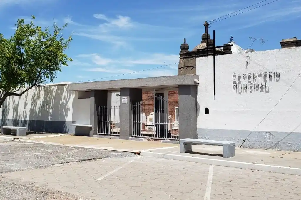 Insólito: un enjambre de abejas atacó a un grupo de personas en el Cementerio Municipal