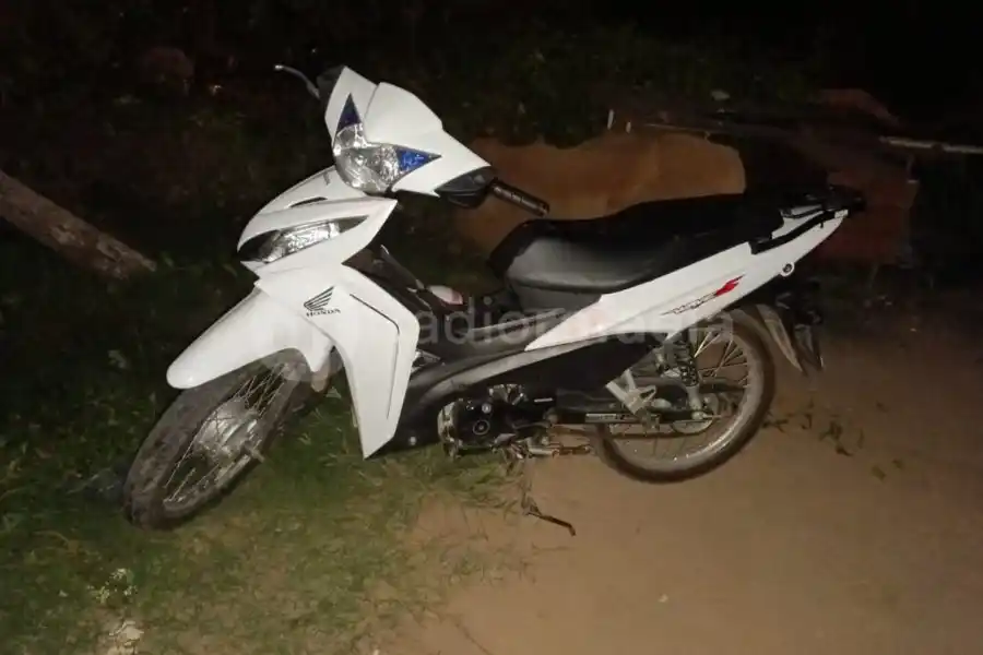 Escuchó a los perros ladrando y se encontró con una moto escondida entre las ramas de un árbol