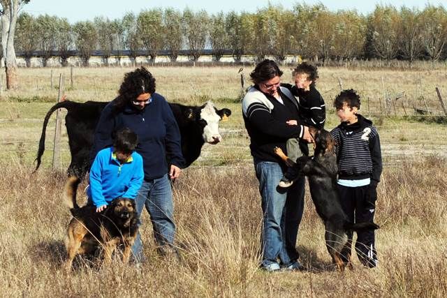 La Plata: Pareja de mujeres adoptó 3 hermanos de diferentes edades