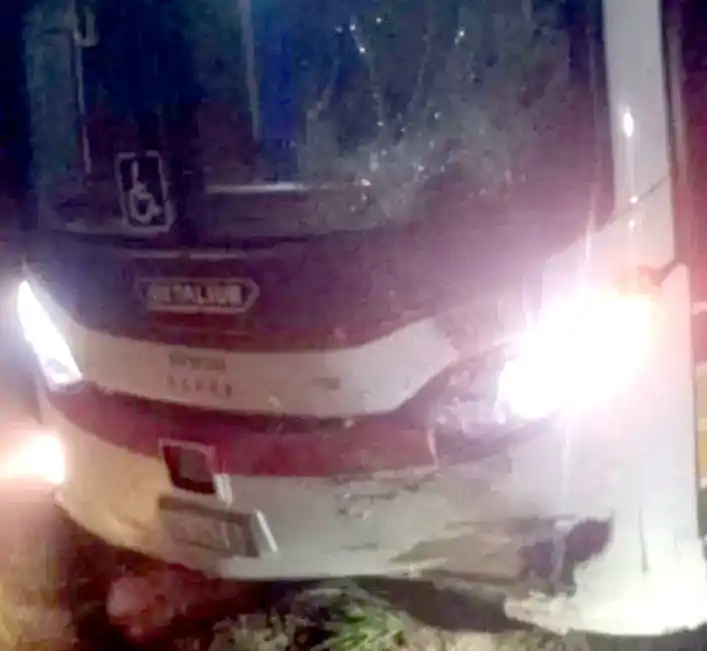 Un colectivo que se dirigía a Necochea chocó en ruta 2