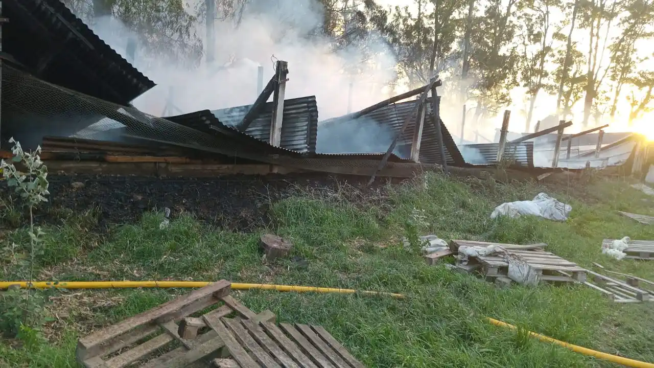 Se quemaron dos galpones de Granja Gardey.