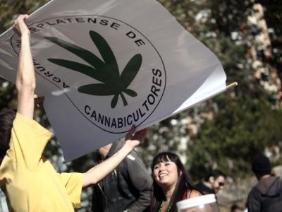 Marcha Mundial por la legalización de la Marihuana: Los lugares que se suman a la iniciativa