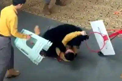 Un oso arremetió contra su cuidador frente a decenas de personas en pleno show en China: el video