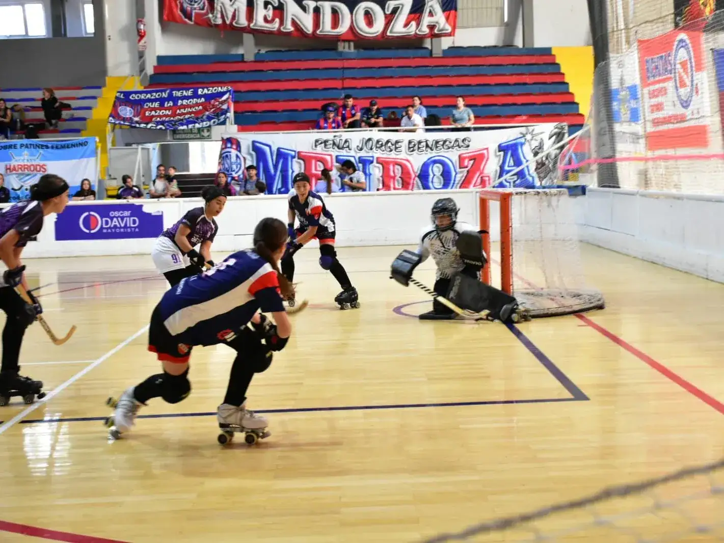 Hockey sobre patines