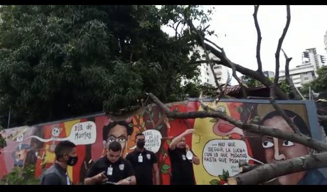 ACCIDENTE FATAL: mujer muere aplastada por un árbol en plena Av. México