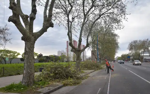 Iniciaron las obras en el Distrito Tecnológico del Conocimiento y la Innovación