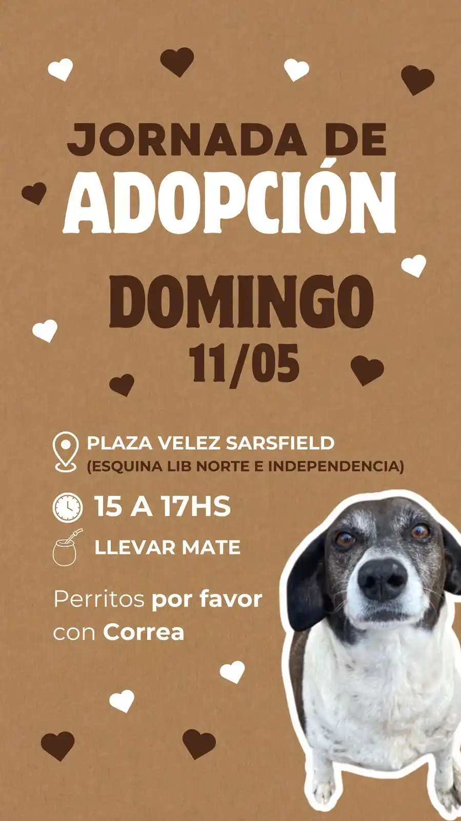 jornada de adopción
