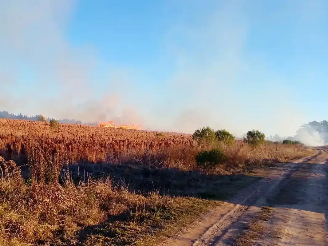El incendo se desató en fardos de alfalfa.
