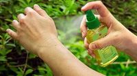 Aerosol, gel o crema: la efectividad de los repelentes es la misma