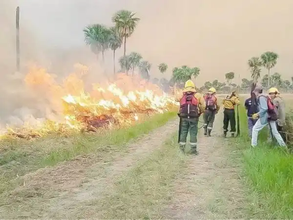 Milei eliminó el Fondo Nacional del Manejo del Fuego: cómo afectará a las provincias del NEA