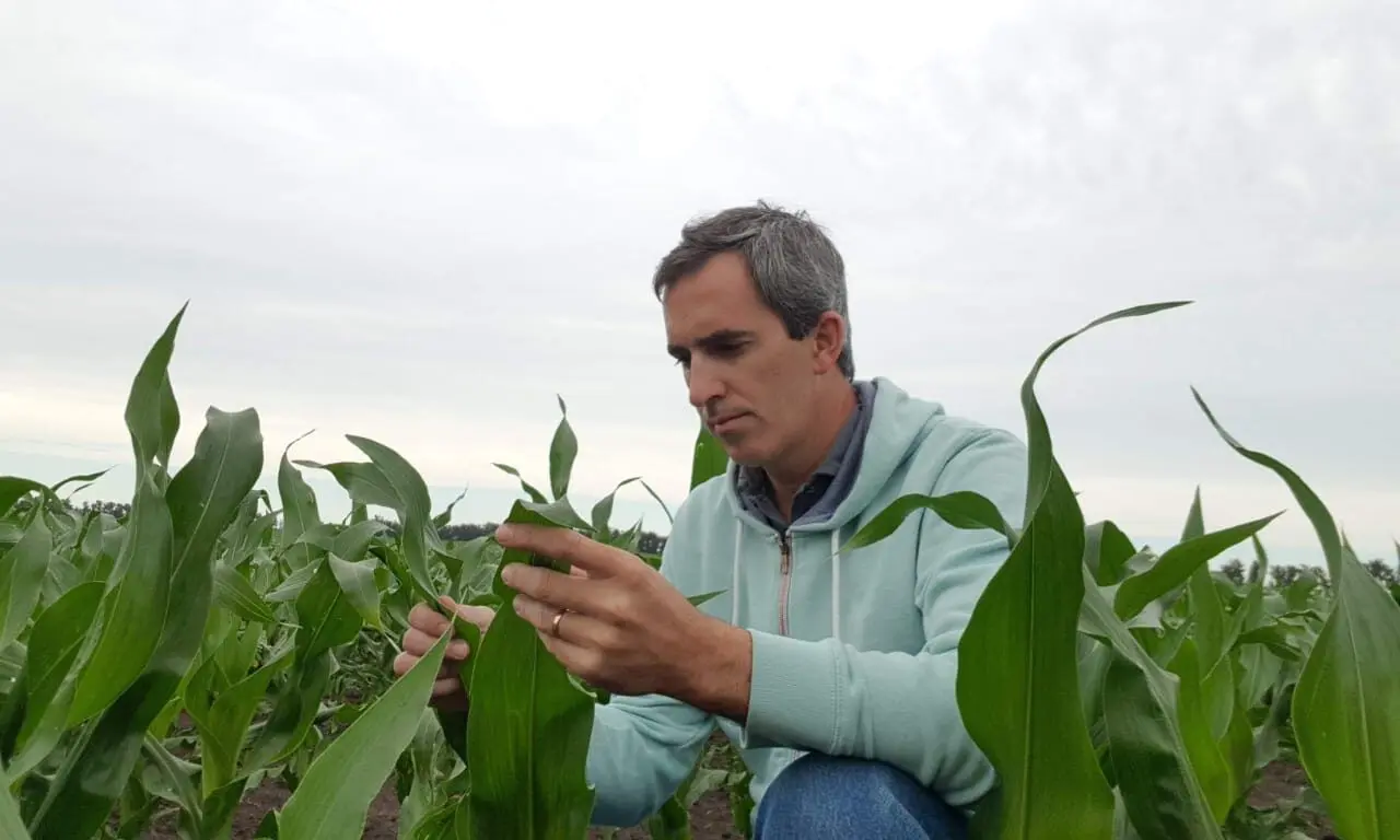 Esteban Bilbao sobre la cosecha: "Hay una variabilidad enorme de rindes"