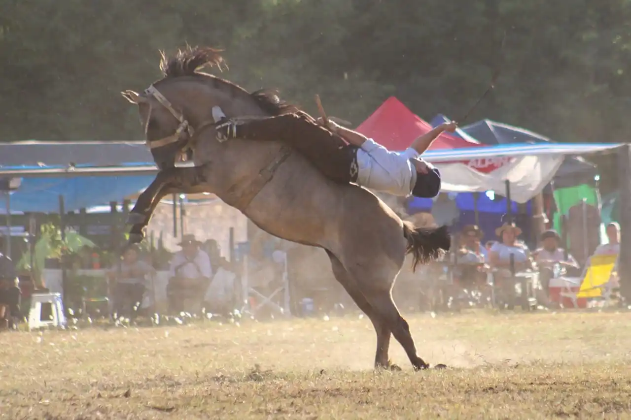 fiesta de la pastora 2026 01-02-26 - 3