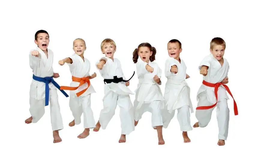 La ciencia confirma que las artes marciales son cosa de listos.