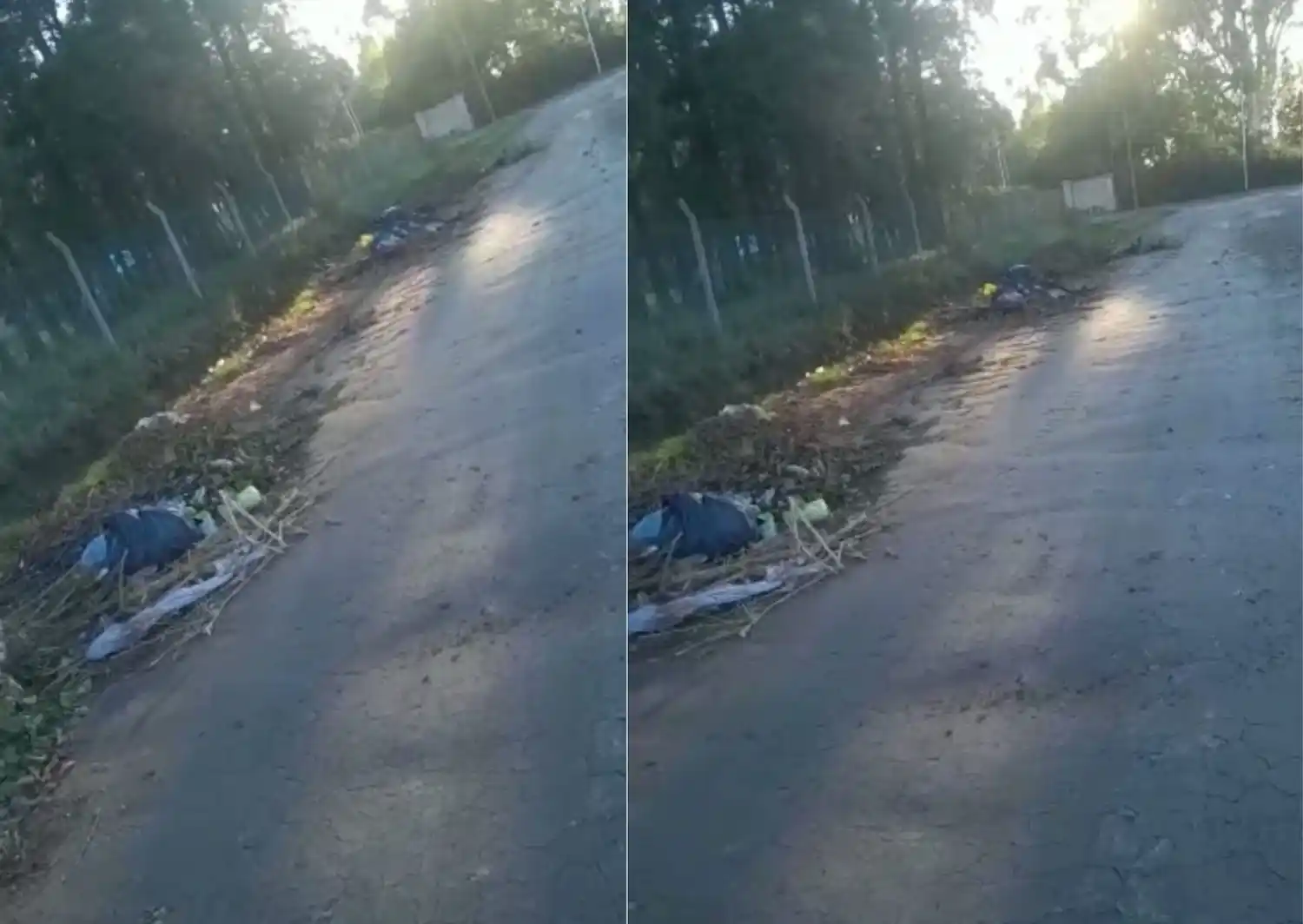 “Es una vergüenza cómo tiran basura”