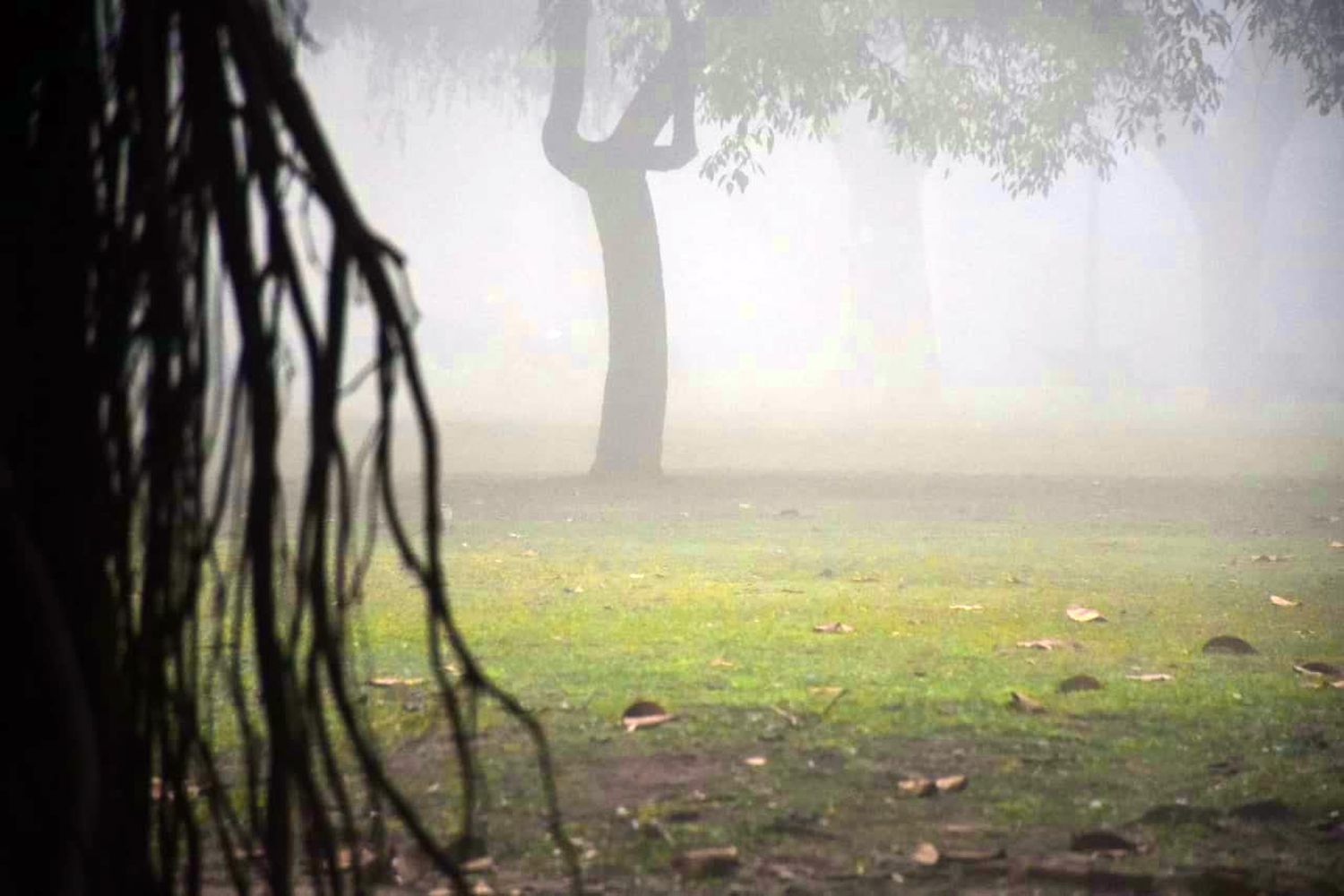 Viernes con mucha niebla por la mañana que podría terminar con tormentas