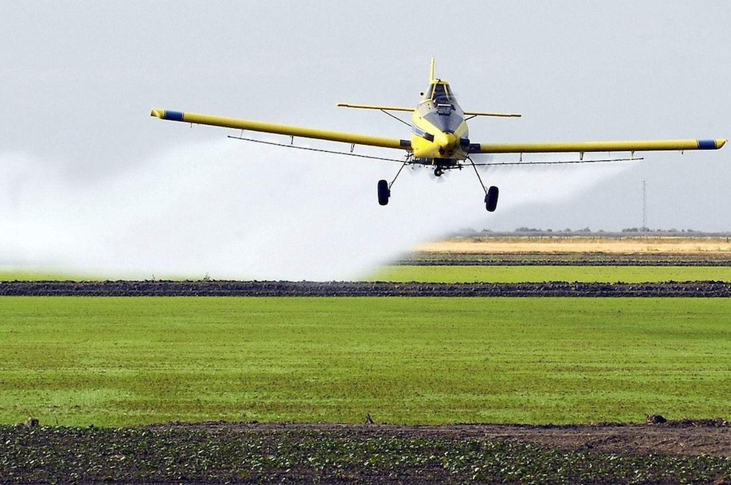 Se prohíbe la fumigación con agroquímicos en un radio que va de los 1.000 a los 3.000 metros del ejido urbano de San Justo.