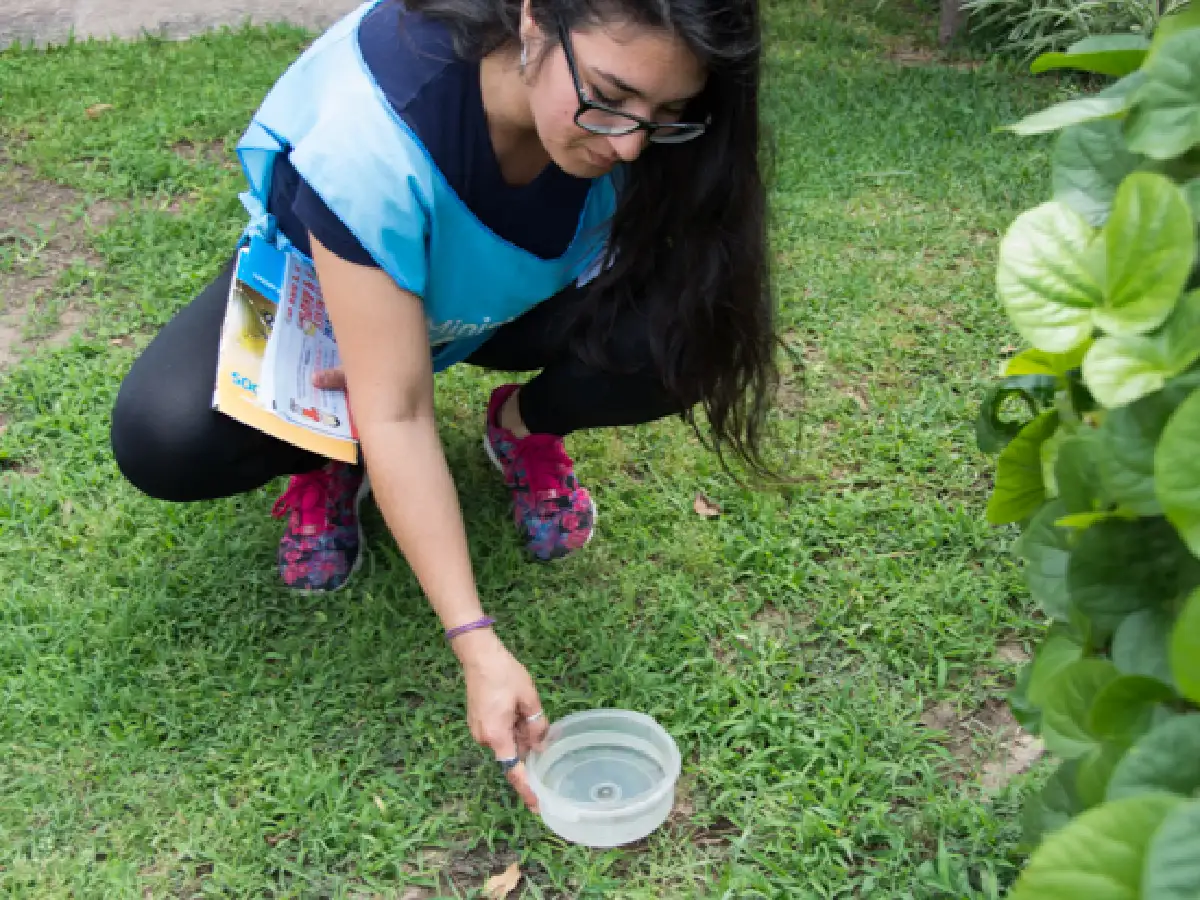 Se detectaron nuevos casos de dengue en la provincia