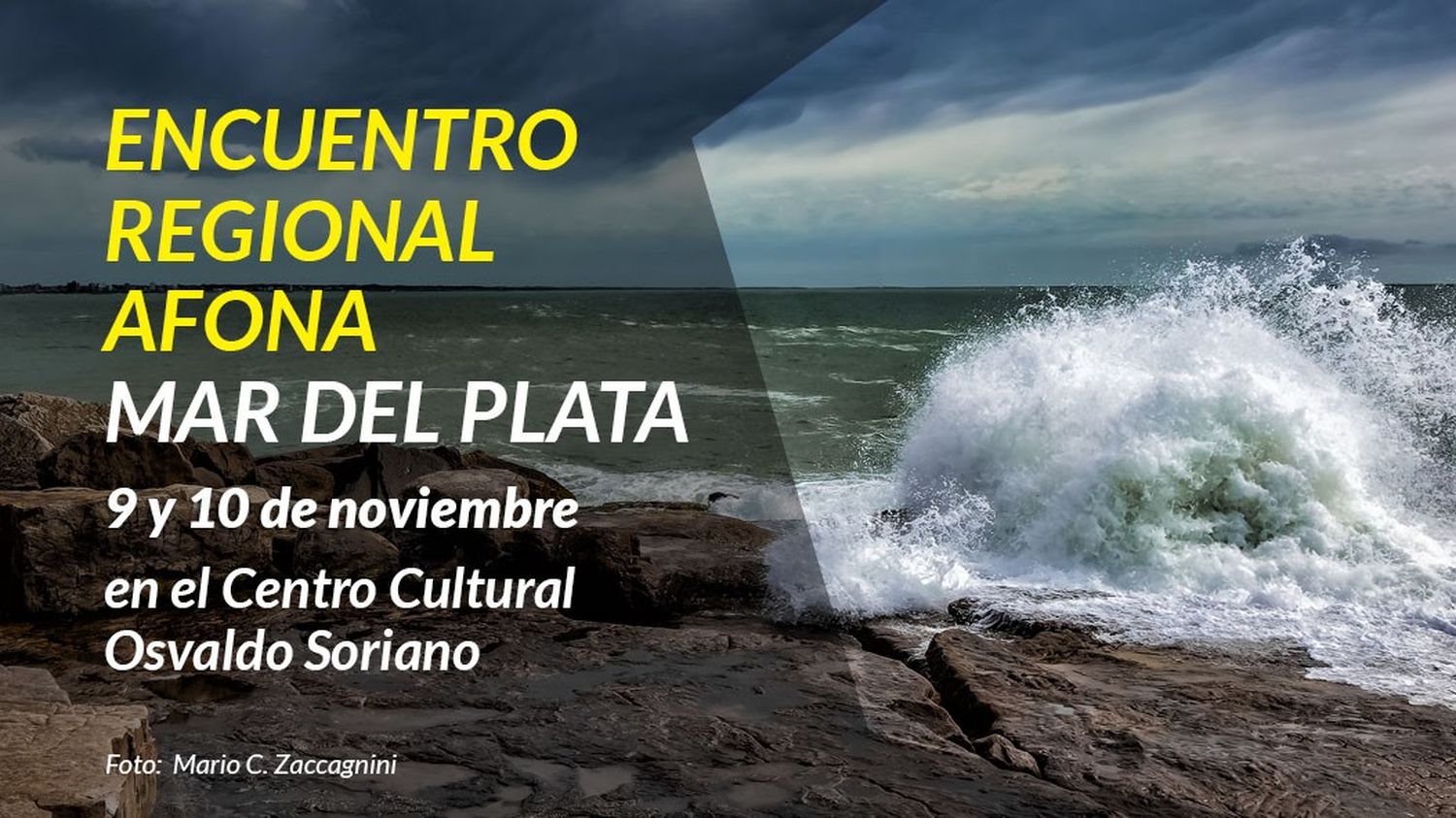 Mar del Plata será sede de un encuentro de fotógrafos de naturaleza