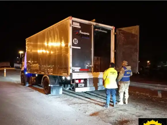 Decomisaron ocho toneladas de sábalo en Victoria