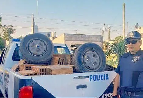 Recuperan 120 ladrillos durante un allanamiento por dos hurtos