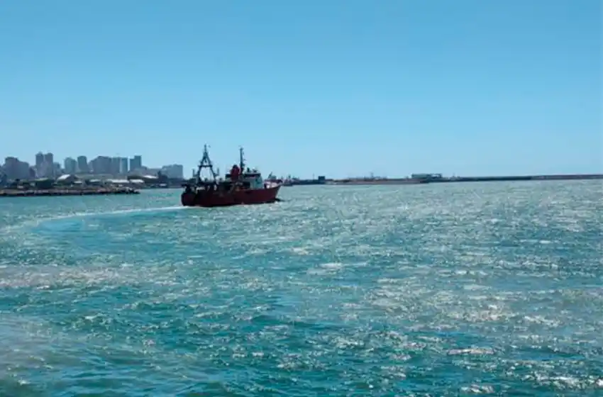 El  Consejo Federal Pesquero de asignó las cuotas de captura de merluza que regirán desde 2025 hasta 2039.