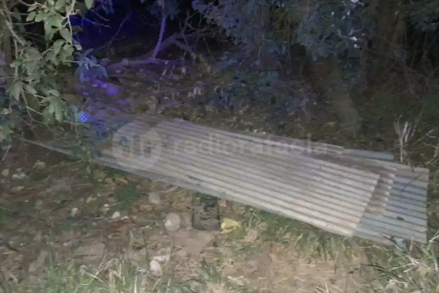 Los perros le avisaron que estaban robando cosas de un galpón