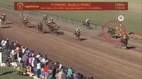 El video del momento en que la jocketa entrerriana cae del caballo
