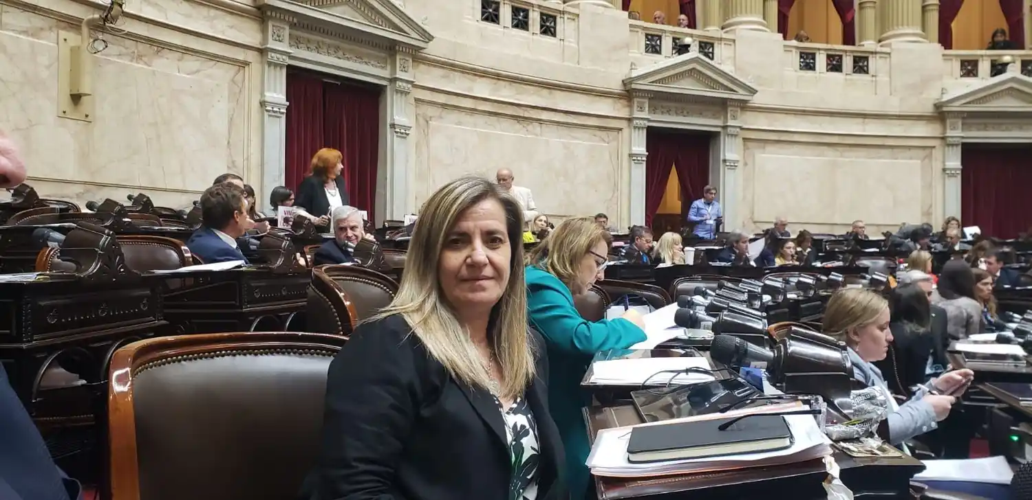 Fin de ciclo para Marcela Ántola y cinco nuevos entrerrianos llegan al Congreso