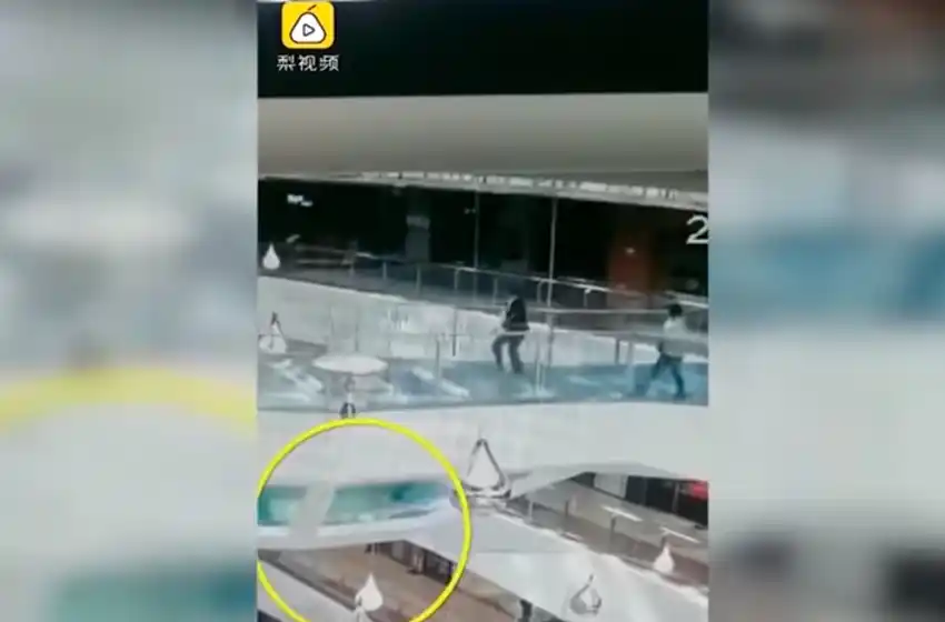 Video: se tropezó dentro de un tanque lleno de tiburones hambrientos