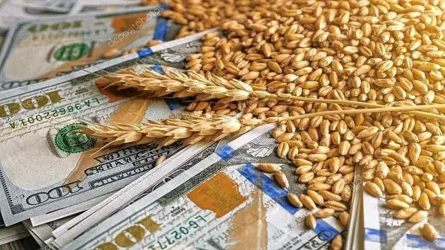 Santa Fe exportó un 10% más, pero la baja de precios redujo a la mitad el ingreso de dólares
