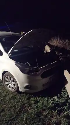 Bomberos intervienen en un accidente