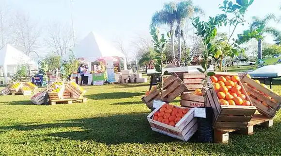 Difusión en las termas de Federación