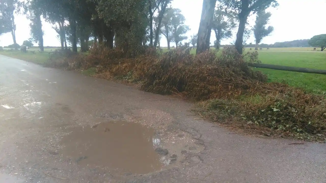 Denuncian falta de limpieza en el Parque Camet