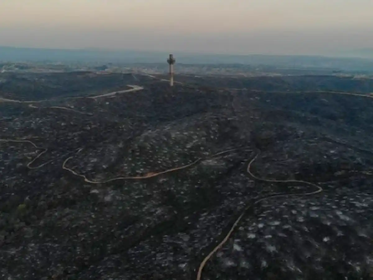 El gobierno provincial presentó denuncia por la venta de lotes afectados por incendios