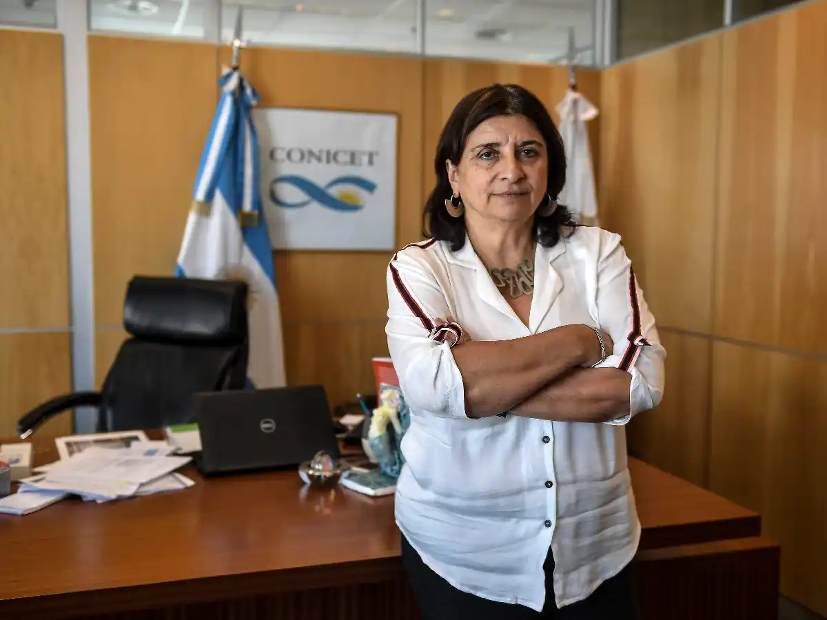 El Conicet apunta a revalorizar las Ciencias Sociales