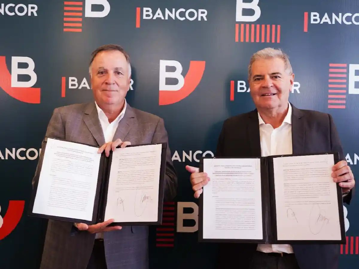  Ganadería: Bancor otorgará $3.000 millones en créditos con tasa subsidiada