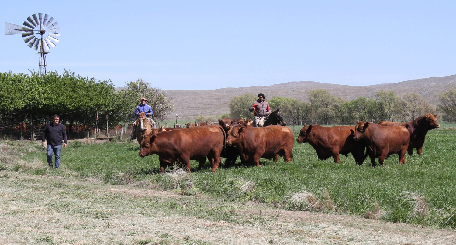 Un remate para ponerse colorado