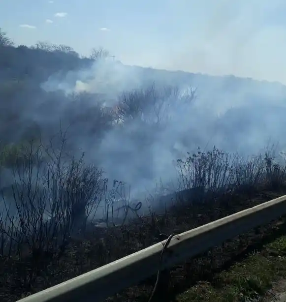 Incendio en un campo y susto en un banco céntrico: la actividad de los bomberos
