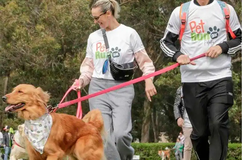 Todo listo para la 1ra #PetRun solidaria en Camet
