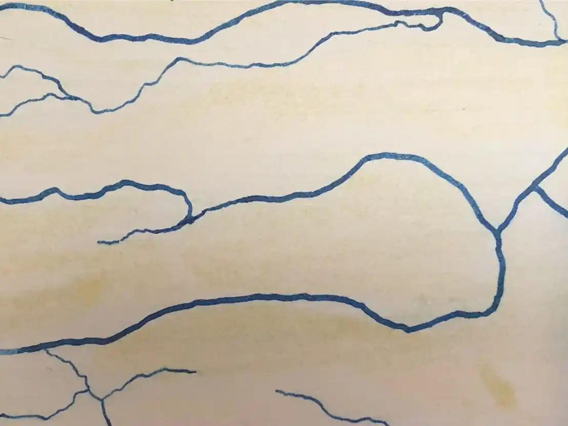 Invitan a la inauguración de una instalación sonora en el Museo Provincial de Bellas Artes