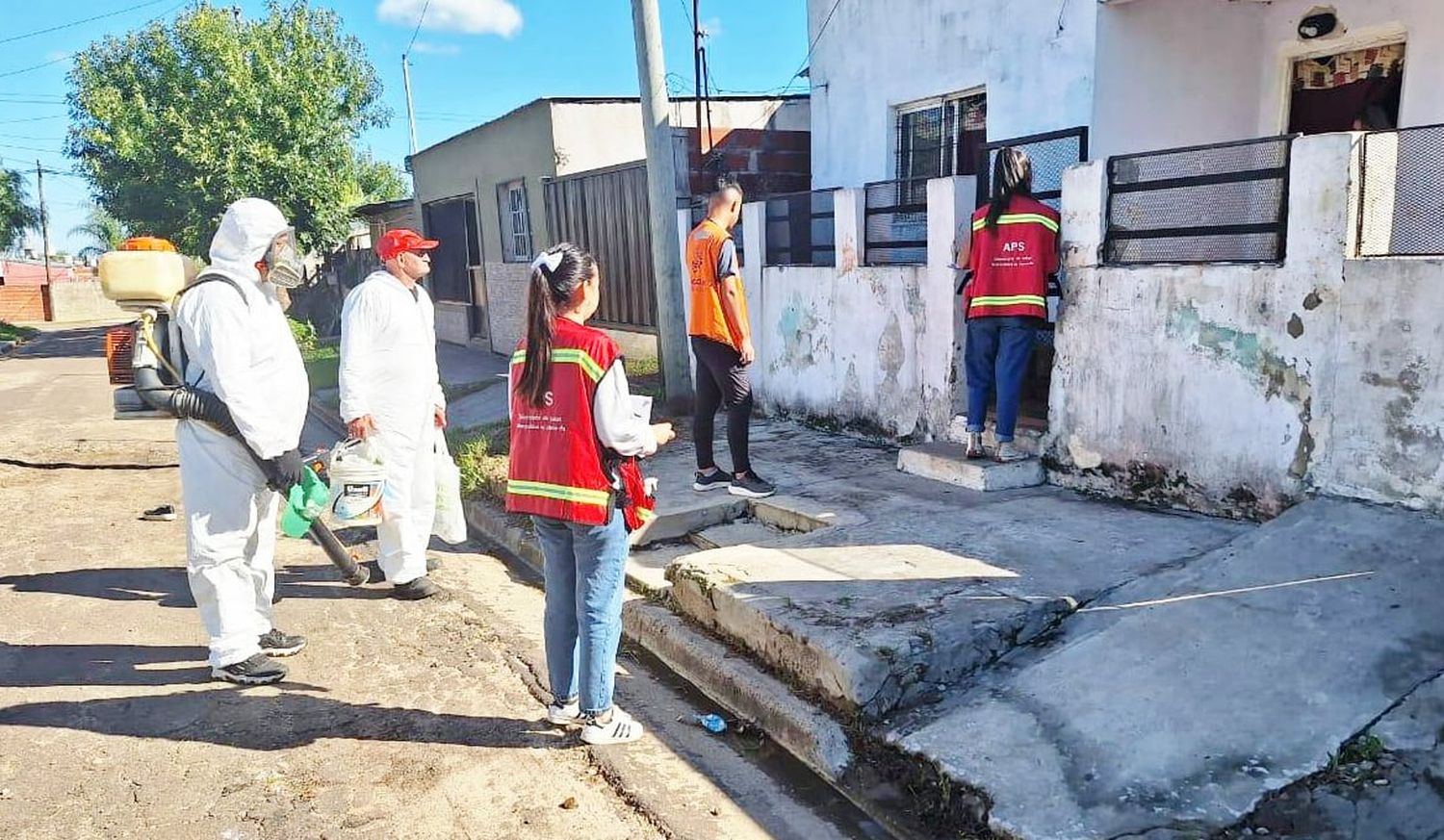 Programa de fumigación