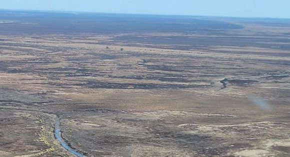 Ecocidio en islas: repliegan el personal tras la extinción de focos y confirman San Pedro como base activa